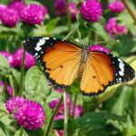 Giardino fiorito con farfalle colorate che svolazzano tra le piante.