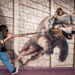 Cane che tira al guinzaglio con il padrone in un parco, evidenziando un errore comune nel suo addestramento.