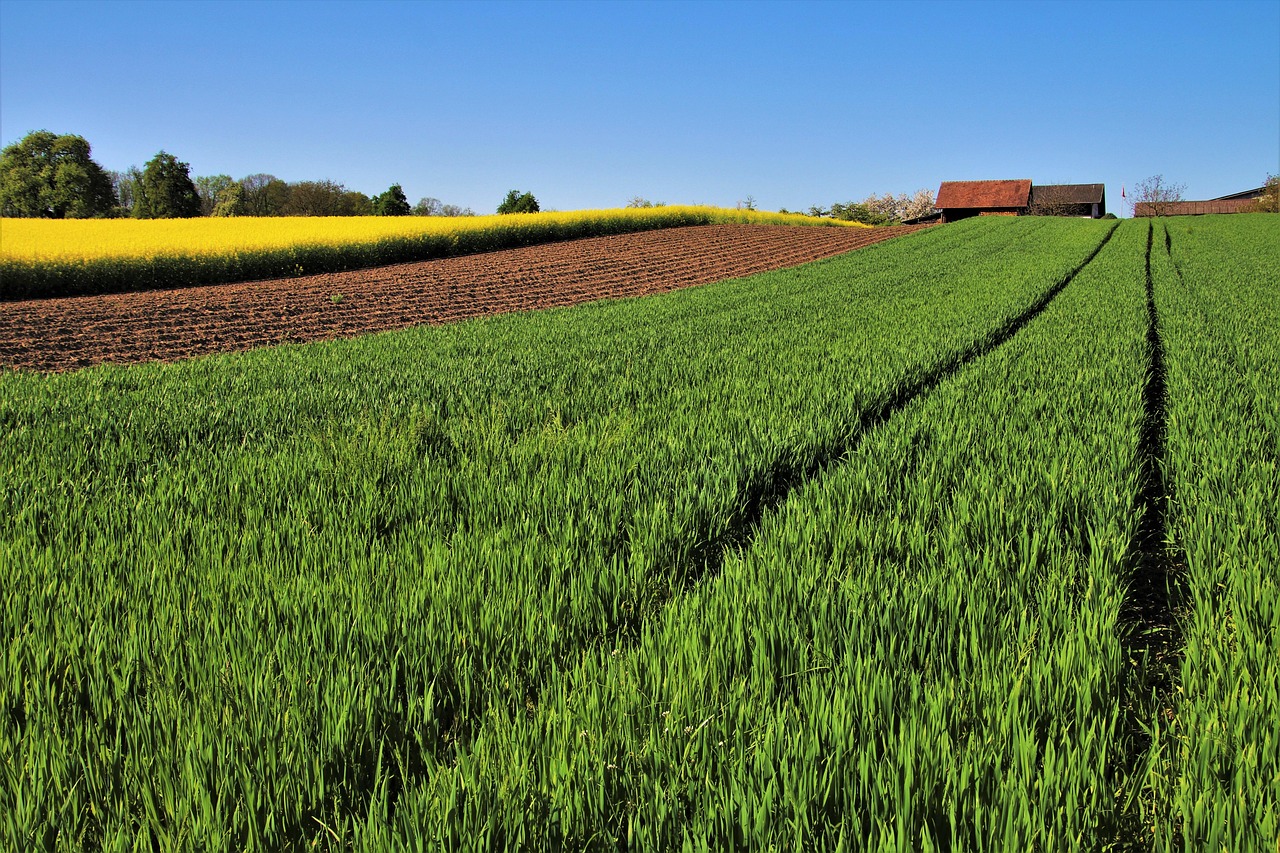 Terreno agricolo con segnali di avvertimento sui rischi da considerare per l'acquisto.
