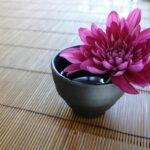 Piante in fiore disposte artisticamente secondo il metodo giapponese nel giardino.